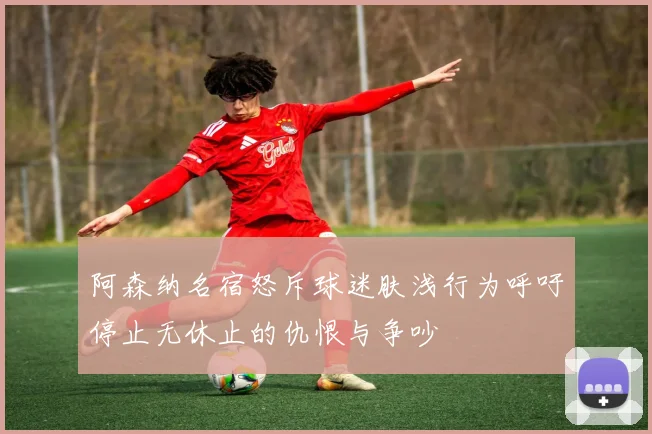 阿森纳名宿怒斥球迷肤浅行为呼吁停止无休止的仇恨与争吵