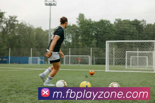 FB体育品牌故事