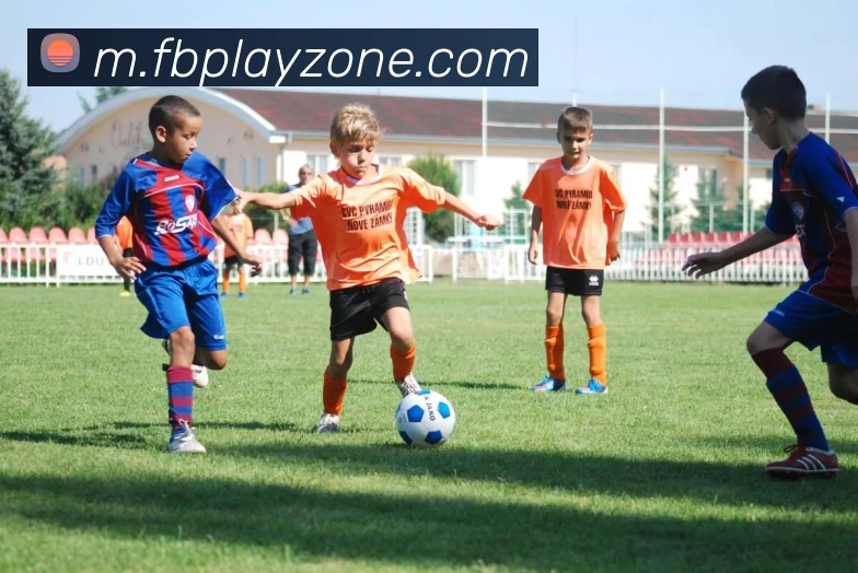 FB体育服务体系